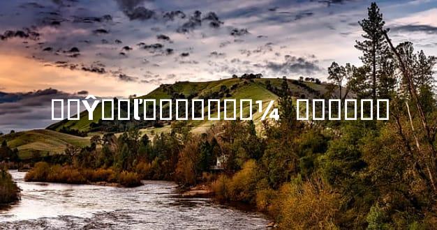 ΢�Ŷ��ľ�ѡ�����¼  �ղر���